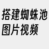 搭建蜘蛛池图片视频