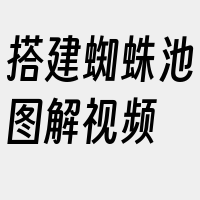 搭建蜘蛛池图解视频