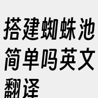 搭建蜘蛛池简单吗英文翻译