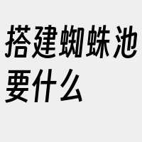 搭建蜘蛛池要什么