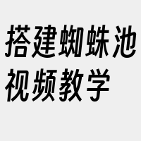 搭建蜘蛛池视频教学