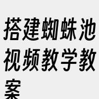 搭建蜘蛛池视频教学教案