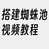 搭建蜘蛛池视频教程