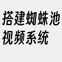 搭建蜘蛛池视频系统