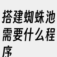 搭建蜘蛛池需要什么程序