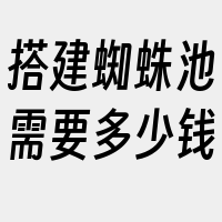 搭建蜘蛛池需要多少钱