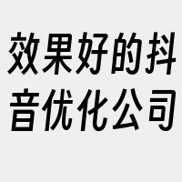 效果好的抖音优化公司