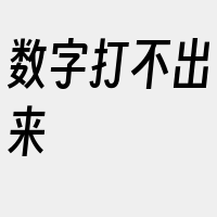 数字打不出来