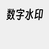 数字水印