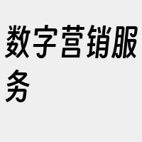 数字营销服务