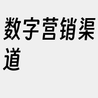 数字营销渠道