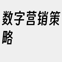 数字营销策略