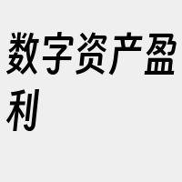 数字资产盈利