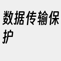 数据传输保护