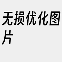 无损优化图片