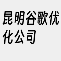 昆明谷歌优化公司