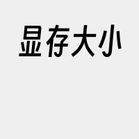 显存大小