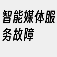 智能媒体服务故障