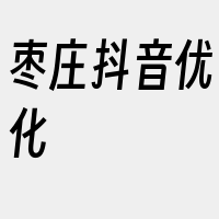 枣庄抖音优化