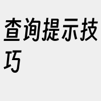 查询提示技巧