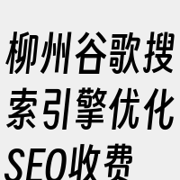 柳州谷歌搜索引擎优化SEO收费