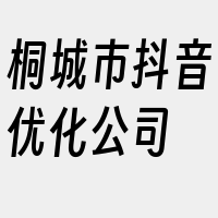 桐城市抖音优化公司