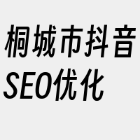 桐城市抖音SEO优化