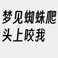 梦见蜘蛛爬头上咬我