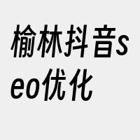 榆林抖音seo优化