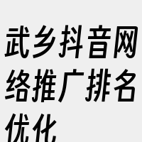 武乡抖音网络推广排名优化