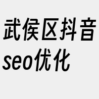 武侯区抖音seo优化