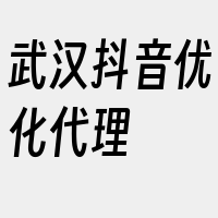 武汉抖音优化代理