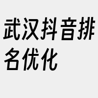 武汉抖音排名优化