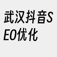 武汉抖音SEO优化