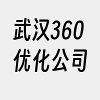 武汉360优化公司