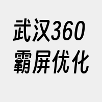 武汉360霸屏优化