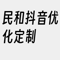 民和抖音优化定制