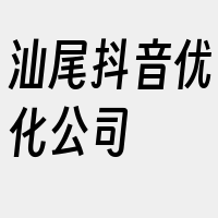 汕尾抖音优化公司