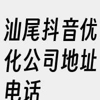 汕尾抖音优化公司地址电话