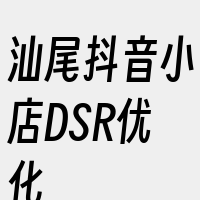 汕尾抖音小店DSR优化