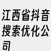 江西省抖音搜索优化公司