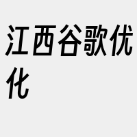 江西谷歌优化