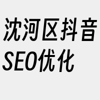 沈河区抖音SEO优化