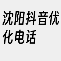 沈阳抖音优化电话