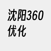 沈阳360优化