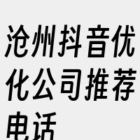 沧州抖音优化公司推荐电话