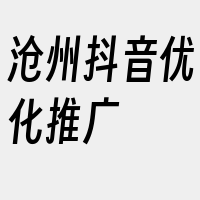 沧州抖音优化推广