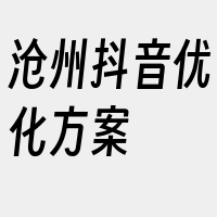 沧州抖音优化方案