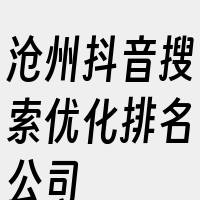 沧州抖音搜索优化排名公司