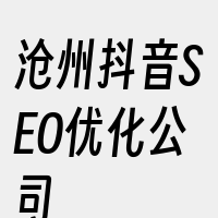 沧州抖音SEO优化公司